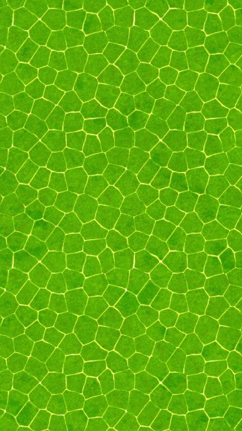 Plain Background Wallpaper